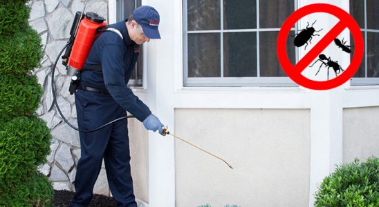 Boğazlıyan Fare İlaçlama böcek ilaçlama ve haşere kontrolü — ilaclama-tr.com